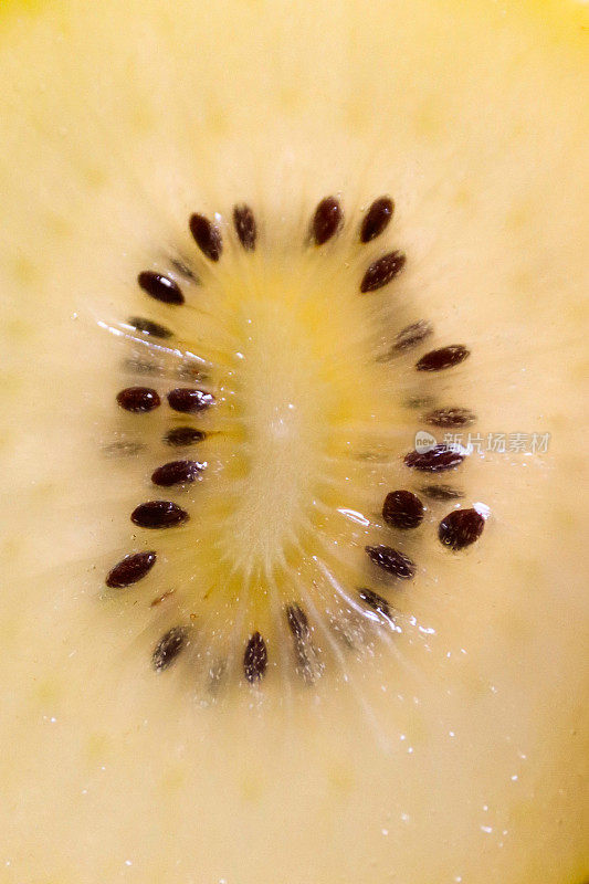 黄色猕猴桃/中国猕猴桃(Actinidia deliciosa)切成两半，显示金色果肉和黑色种子环